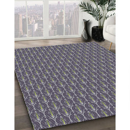 Machine Washable Transitional Dark Gray Rug in a Family Room, wshpat3255