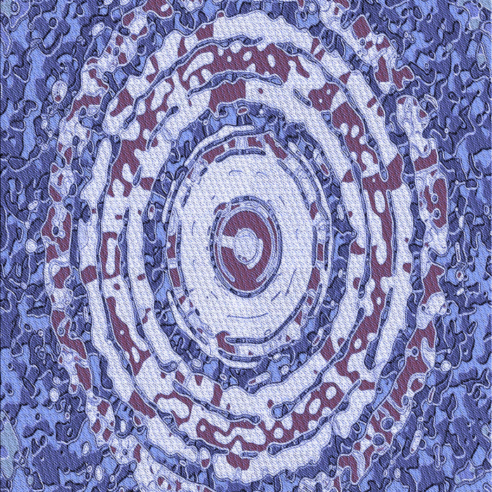 Machine Washable Transitional Deep Periwinkle Purple Rug, wshpat3259blu