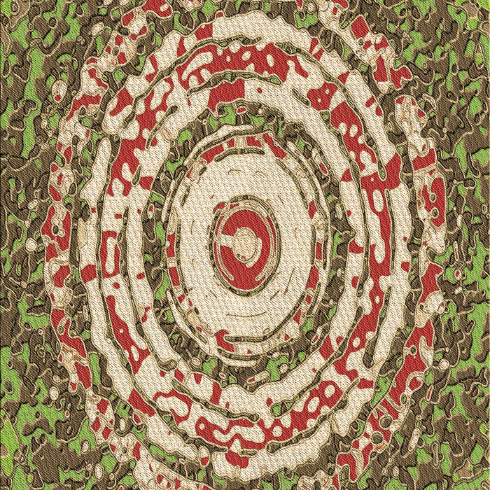 Machine Washable Transitional Saddle Brown Rug, wshpat3259brn