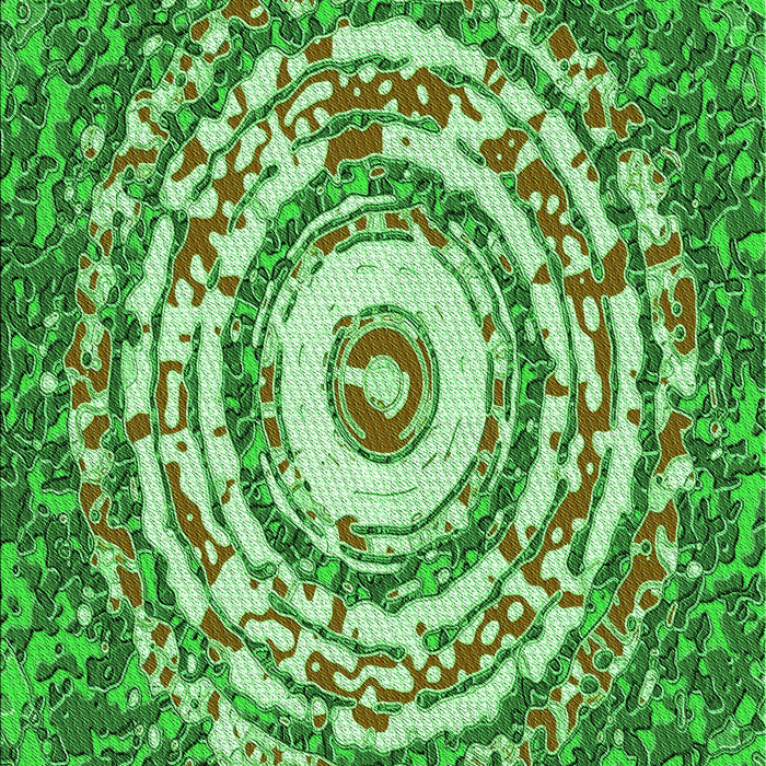 Machine Washable Transitional Green Rug, wshpat3259grn