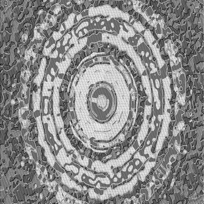 Machine Washable Transitional Cloud Gray Rug, wshpat3259gry