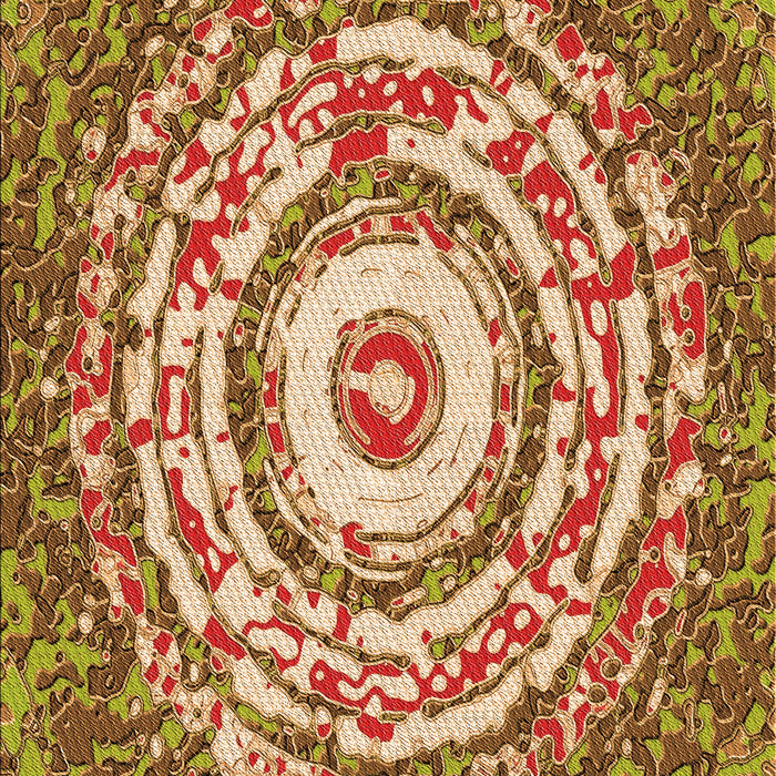 Machine Washable Transitional Mahogany Brown Rug, wshpat3259org