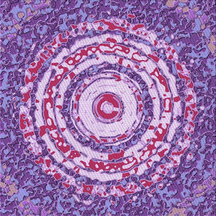 Round Machine Washable Transitional Dark Orchid Purple Rug, wshpat3259pur