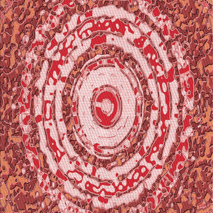 Patterned Red Rug, pat3259rd