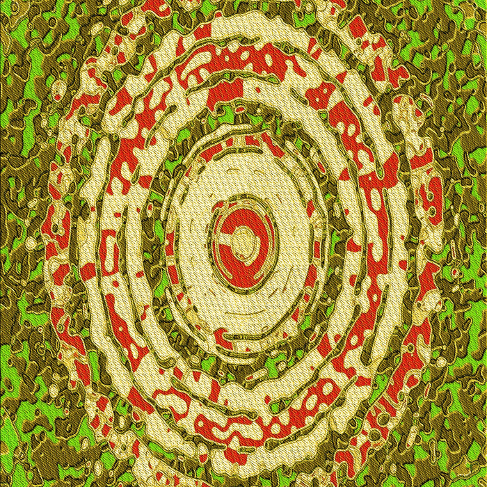 Machine Washable Transitional Dark Bronze Brown Rug, wshpat3259yw