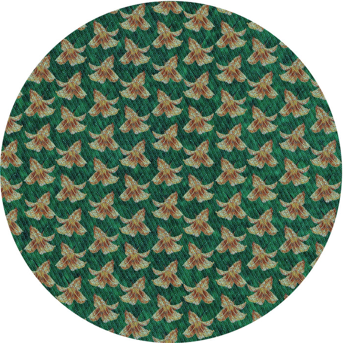 Square Machine Washable Transitional Army Green Rug in a Living Room, wshpat326lblu