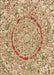 Patterned Red Rug, pat3260brn