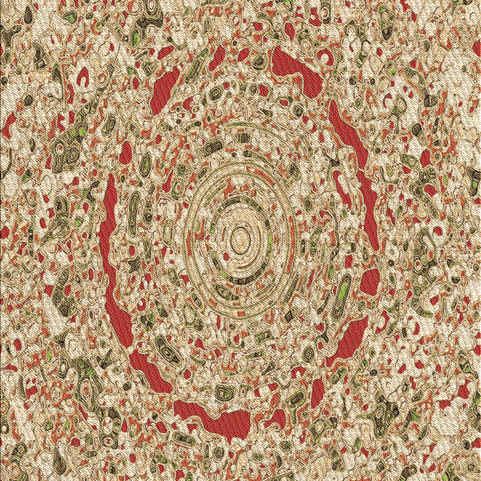 Machine Washable Transitional Red Rug, wshpat3260brn