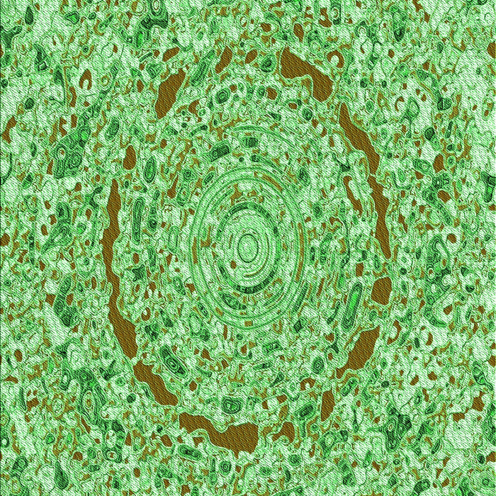 Machine Washable Transitional Dark Lime Green Rug, wshpat3260grn