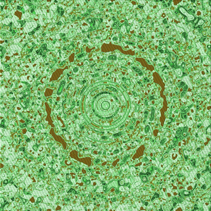 Round Machine Washable Transitional Dark Lime Green Rug, wshpat3260grn