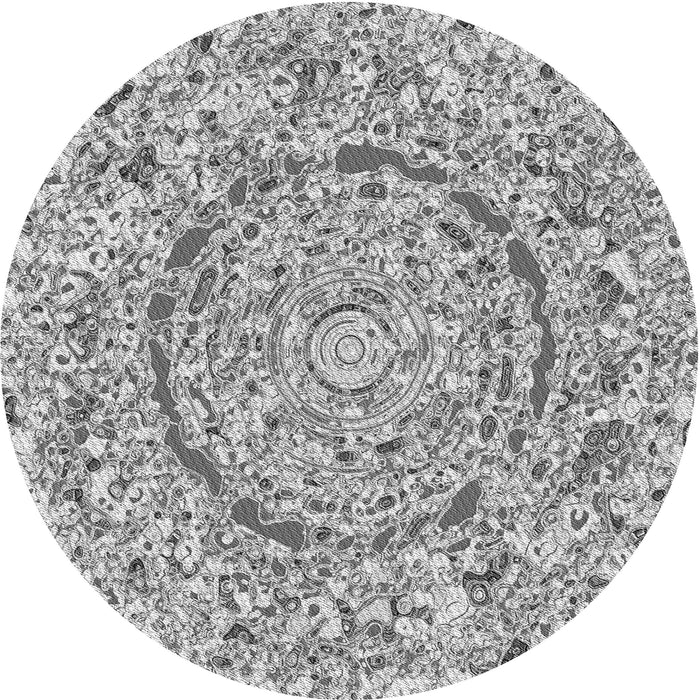 Square Machine Washable Transitional Platinum Silver Gray Rug in a Living Room, wshpat3260gry