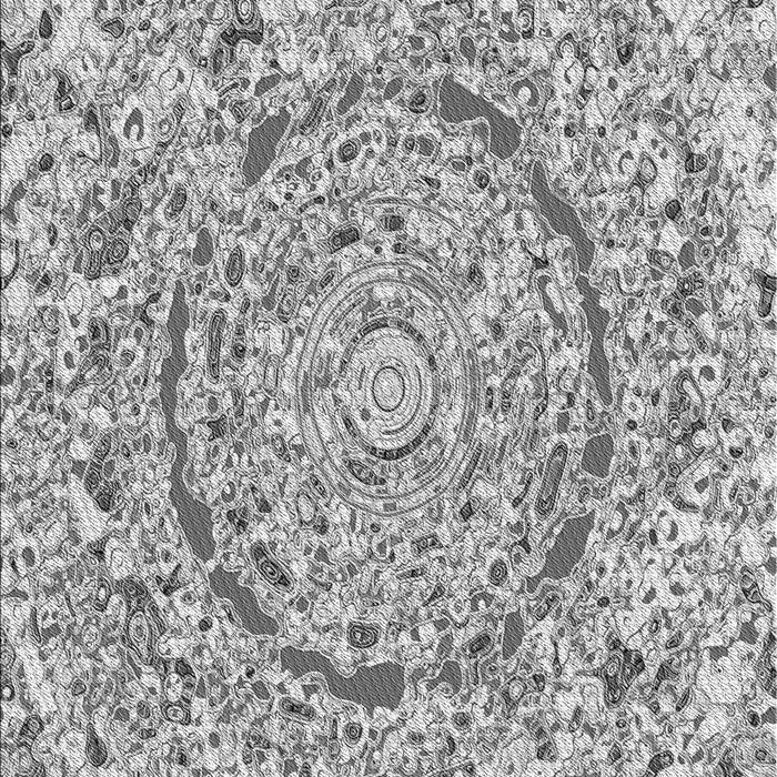 Machine Washable Transitional Platinum Silver Gray Rug, wshpat3260gry