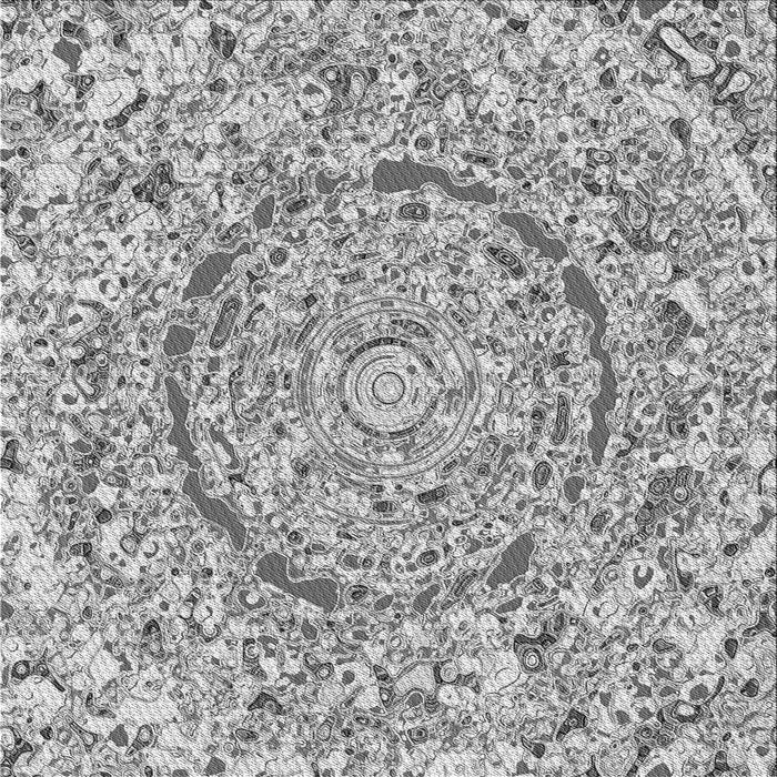 Round Patterned Platinum Silver Gray Rug, pat3260gry