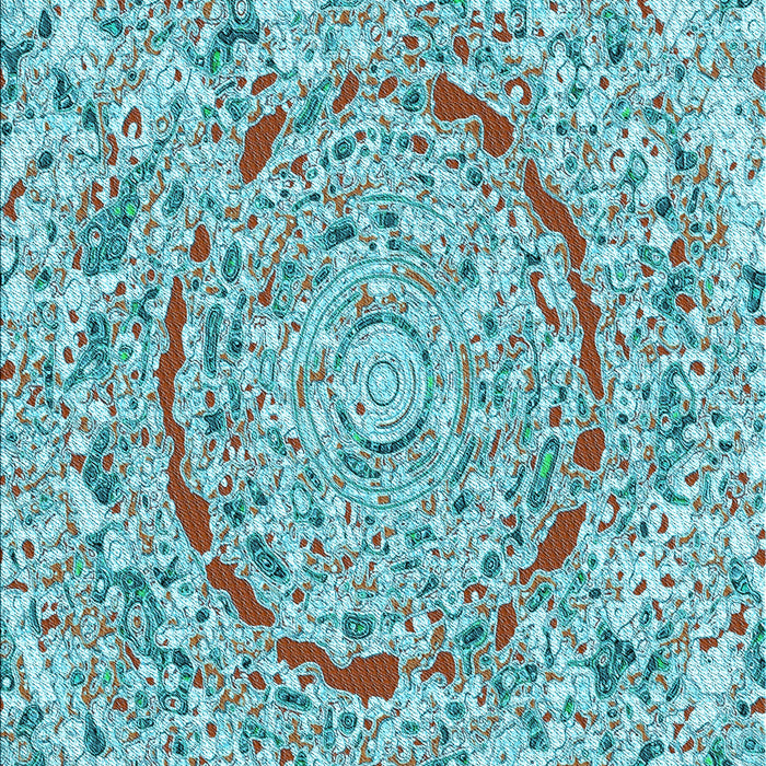 Patterned Sea Green Rug, pat3260lblu