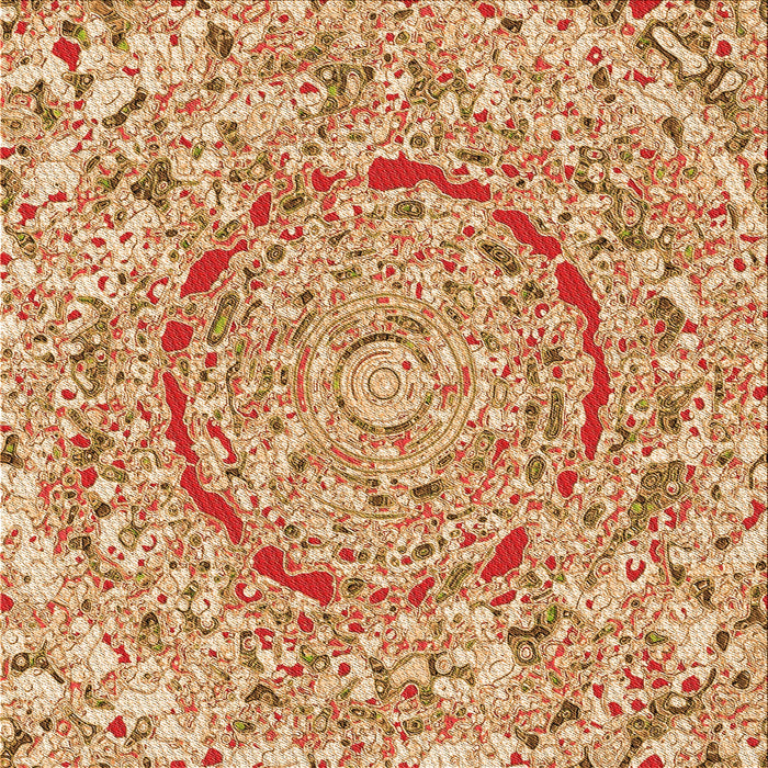 Round Patterned Red Rug, pat3260org