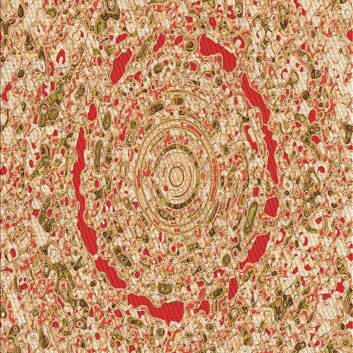 Machine Washable Transitional Red Rug, wshpat3260org