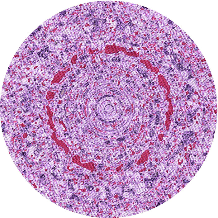 Square Machine Washable Transitional Blossom Pink Rug in a Living Room, wshpat3260pur