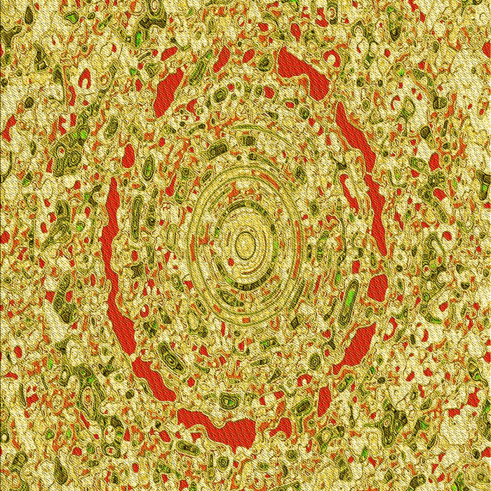 Patterned Bold Yellow Rug, pat3260yw