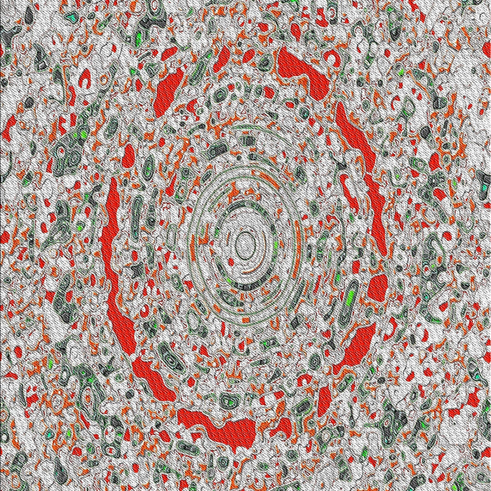 Machine Washable Transitional Chestnut Brown Rug, wshpat3260