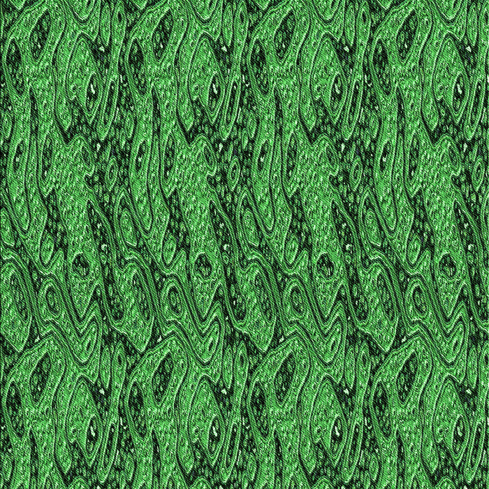 Machine Washable Transitional Deep Emerald Green Rug, wshpat3263grn