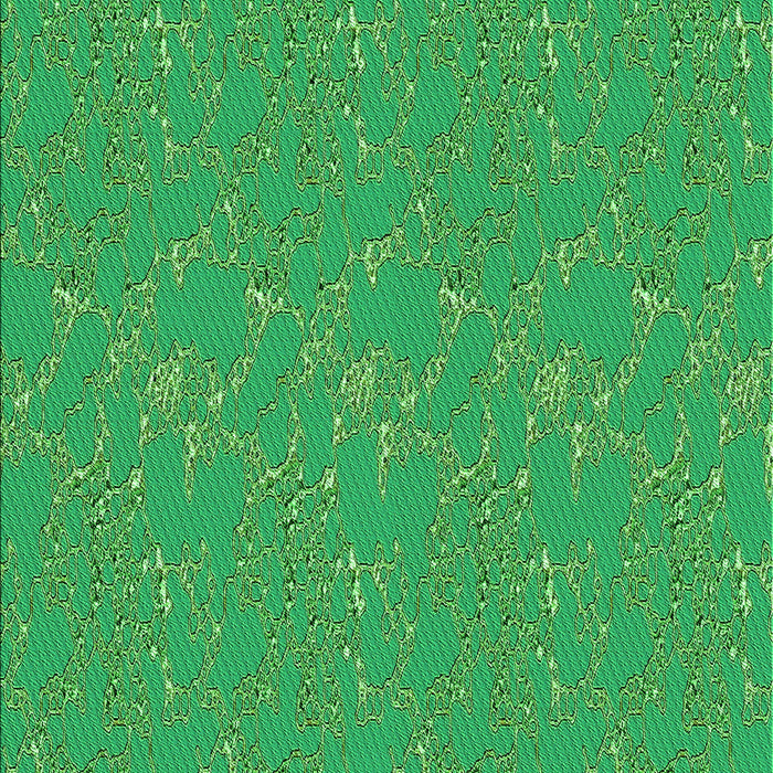 Machine Washable Transitional Neon Green Rug, wshpat3267grn