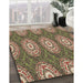 Machine Washable Transitional Red Brown Rug in a Family Room, wshpat3268brn