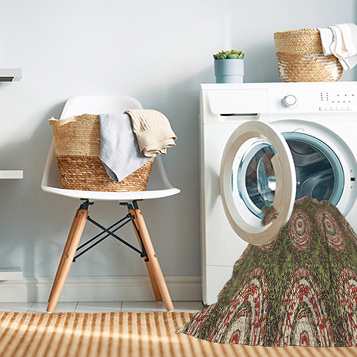Machine Washable Transitional Red Brown Rug in a Washing Machine, wshpat3268brn