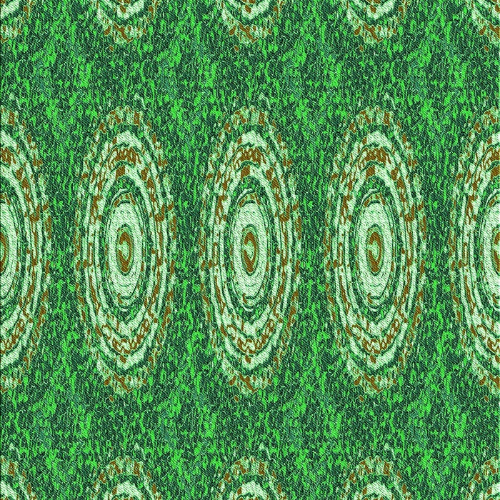 Machine Washable Transitional Green Rug, wshpat3268grn