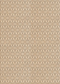 Machine Washable Transitional Copper Brown Rug, wshpat3269org