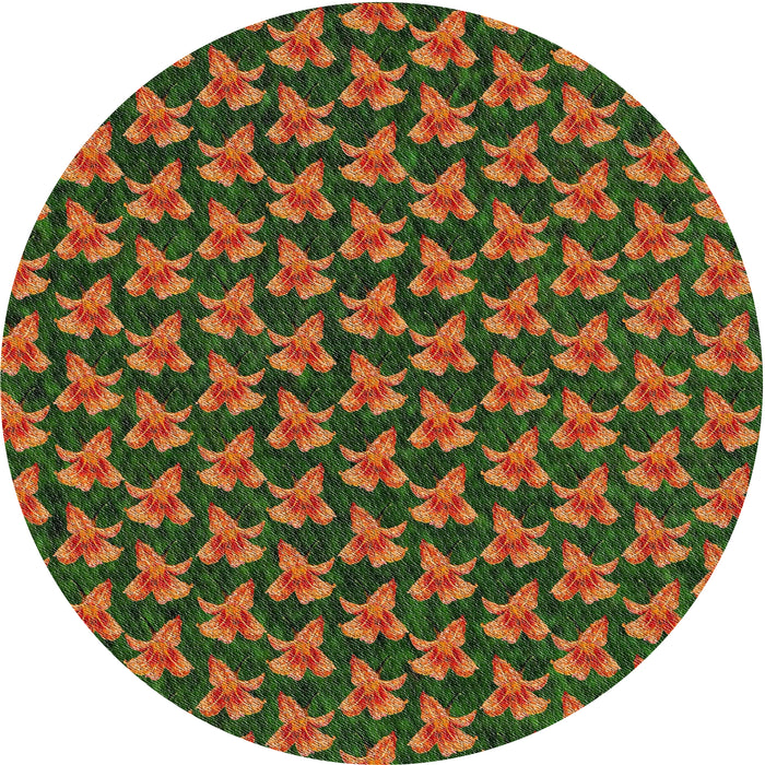 Sideview of Patterned Red Brown Novelty Rug, pat326