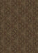 Machine Washable Transitional Oak Brown Rug, wshpat3270brn