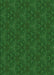 Machine Washable Transitional Deep Emerald Green Rug, wshpat3270grn