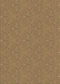 Machine Washable Transitional Sienna Brown Rug, wshpat3271brn