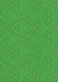 Machine Washable Transitional Lime Green Rug, wshpat3271grn