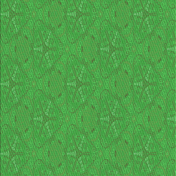 Machine Washable Transitional Lime Green Rug, wshpat3271grn