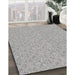 Machine Washable Transitional Gray Rug in a Family Room, wshpat3274