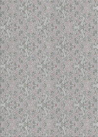 Machine Washable Transitional Gray Rug, wshpat3274