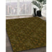 Patterned Dark Bronze Brown Rug in Family Room, pat3275yw