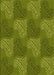 Machine Washable Transitional Pistachio Green Rug, wshpat3279yw