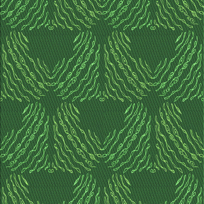 Machine Washable Transitional Deep Emerald Green Rug, wshpat3280grn