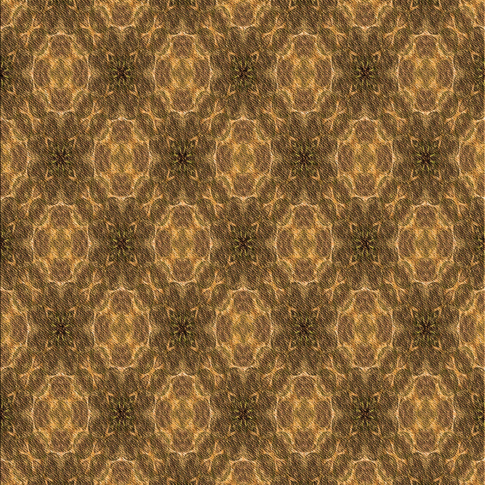 Machine Washable Transitional Dark Bronze Brown Rug, wshpat3283org