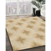 Machine Washable Transitional Khaki Gold Rug in a Family Room, wshpat3284brn