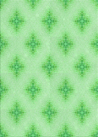 Machine Washable Transitional Green Rug, wshpat3284grn