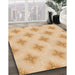 Machine Washable Transitional Khaki Gold Rug in a Family Room, wshpat3284org