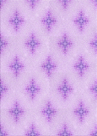 Machine Washable Transitional Purple Rug, wshpat3284pur