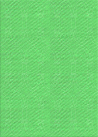 Machine Washable Transitional Neon Green Rug, wshpat3285grn