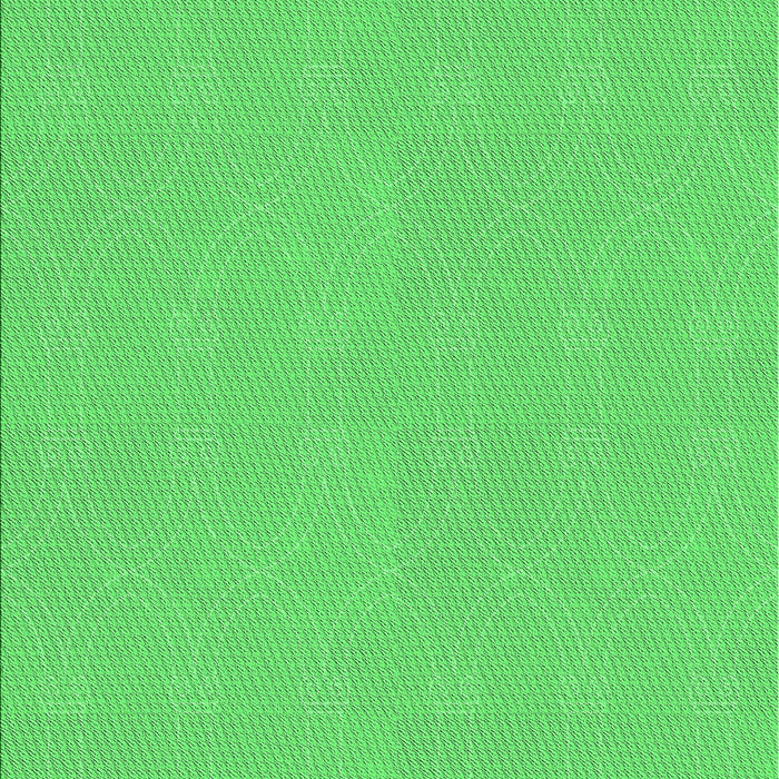 Machine Washable Transitional Neon Green Rug, wshpat3285grn