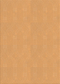 Machine Washable Transitional Neon Orange Rug, wshpat3285org