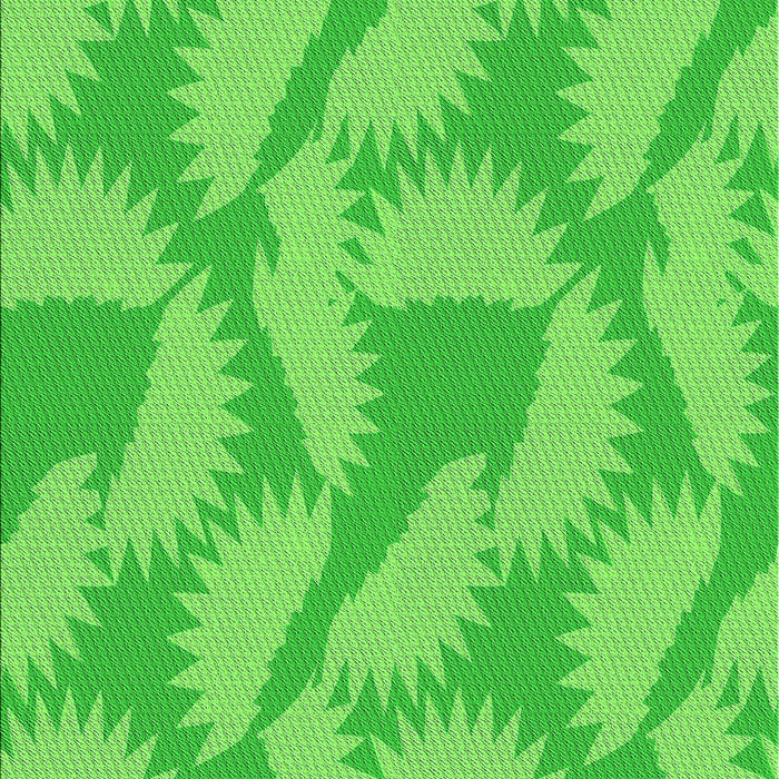 Machine Washable Transitional Lime Green Rug, wshpat3288grn