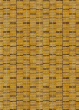 Patterned Orange Novelty Rug, pat3289